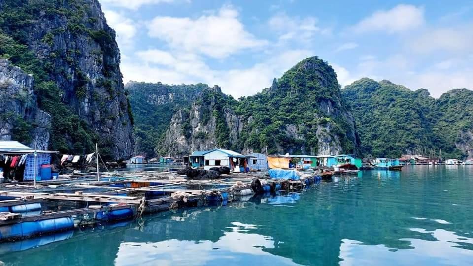 Aroma Cat Ba Sea View Hotel Chan Chau Exterior photo